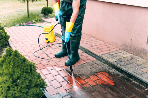 Best Affordable Pressure Washing  in Beechwood, MS