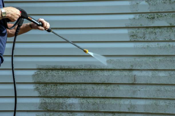 Best Roof Pressure Washing  in Beechwood, MS